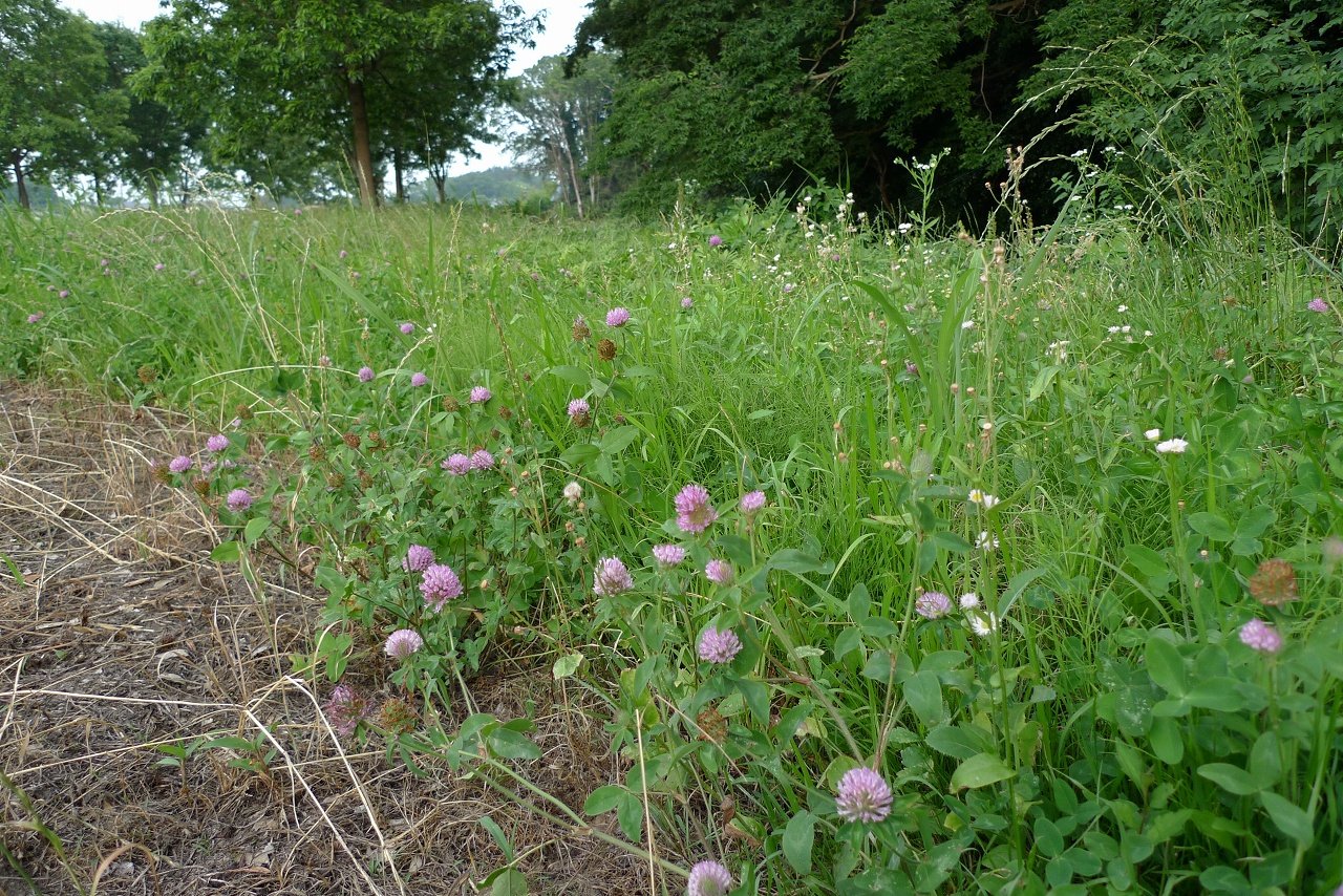 s-P1370513