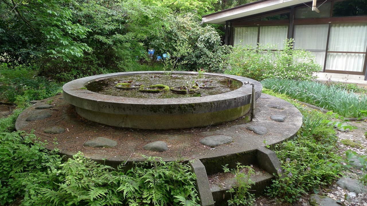 s-P1180318