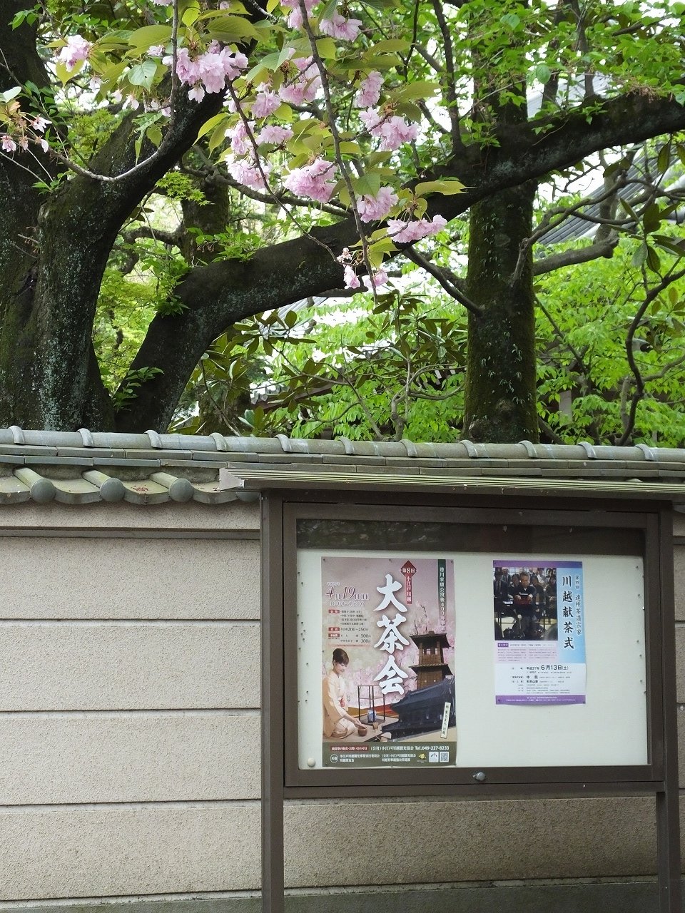 s-DSCF3828