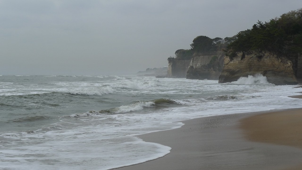 s-P1170260