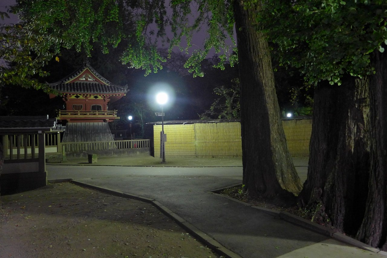 s-P1000222