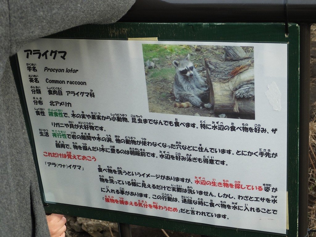 s-DSCF6598