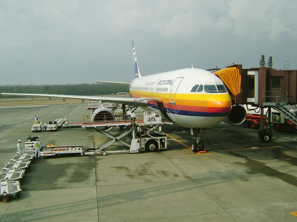 ¹õÀî²¹Àô¡Ê·§ËÜ¡¦°¤ÁÉ¡Ë2005ǯ3·î13Æü