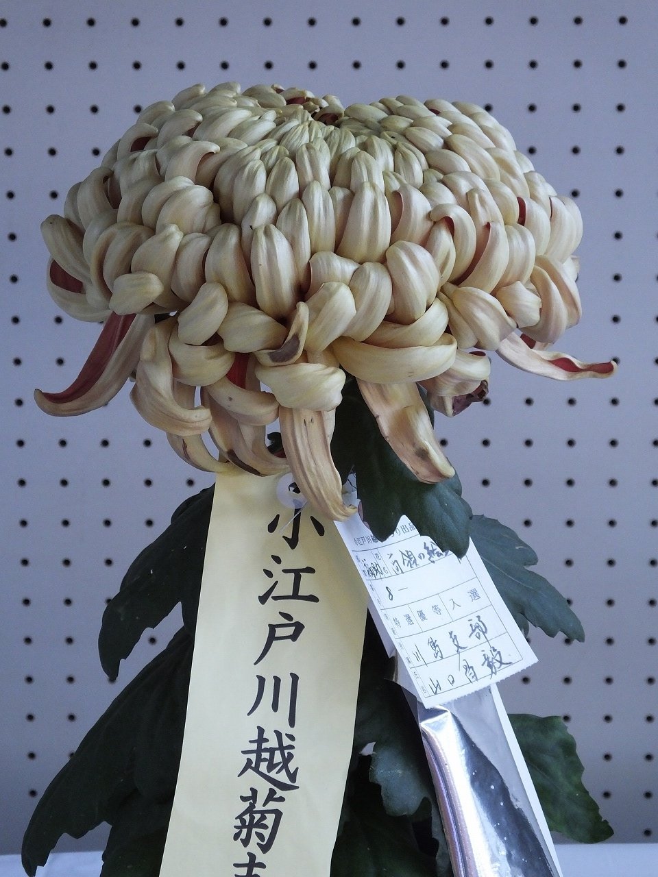 s-DSCF1022
