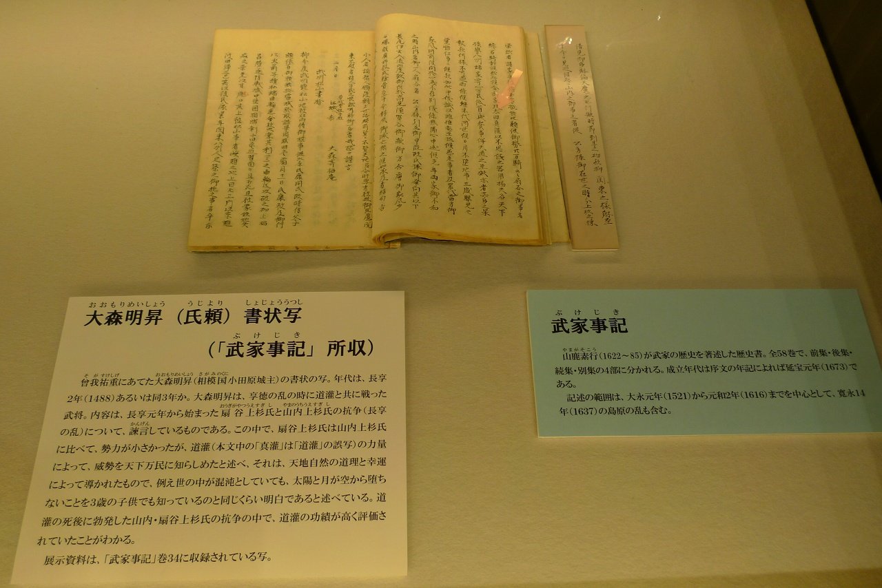 s-P1460904
