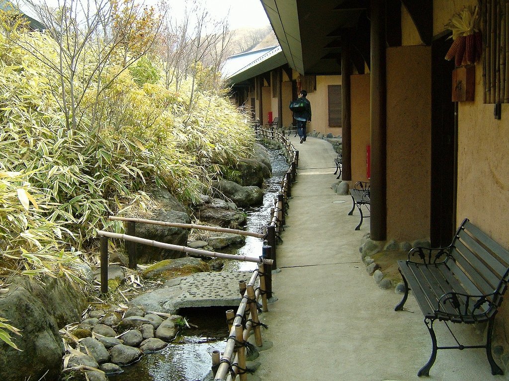 ¹õÀî²¹Àô¡Ê·§ËÜ¡¦°¤ÁÉ¡Ë2005ǯ3·î13Æü