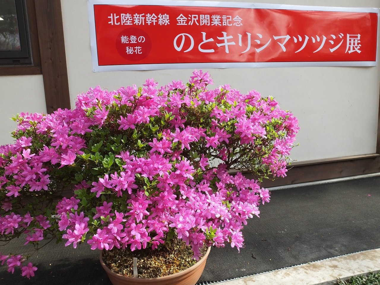 s-DSCF2245