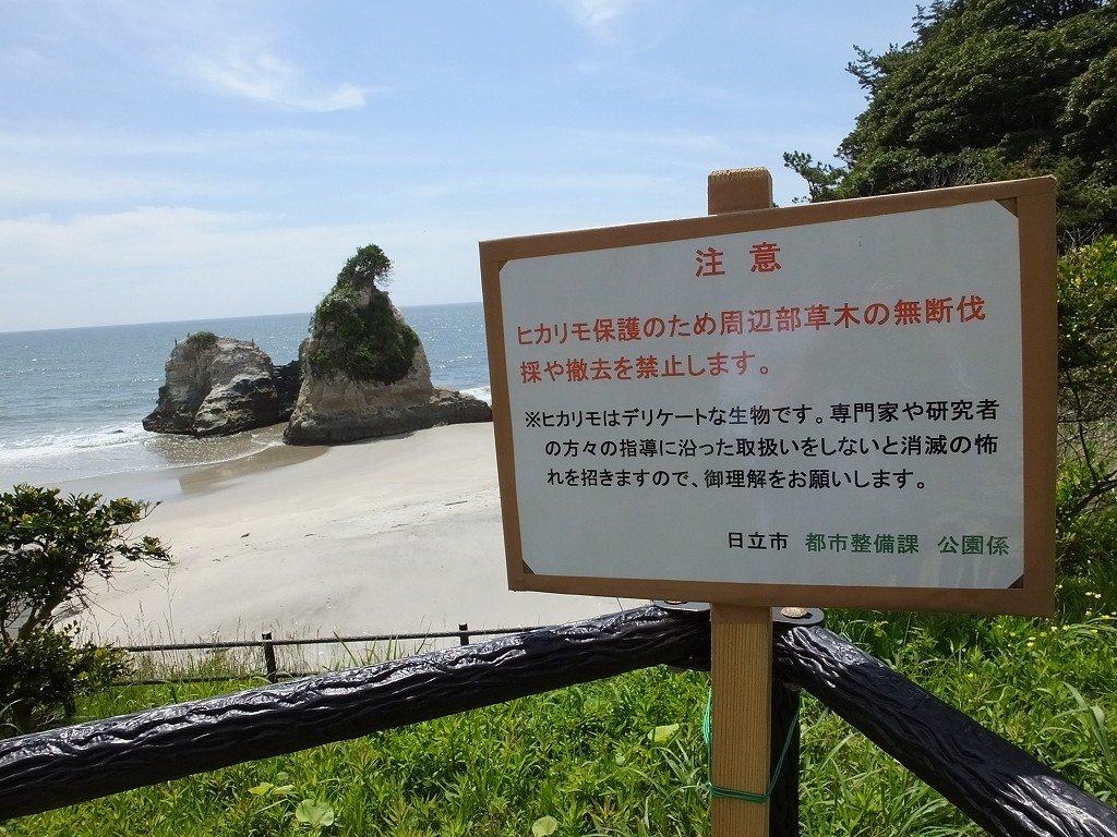 s-DSCF0870