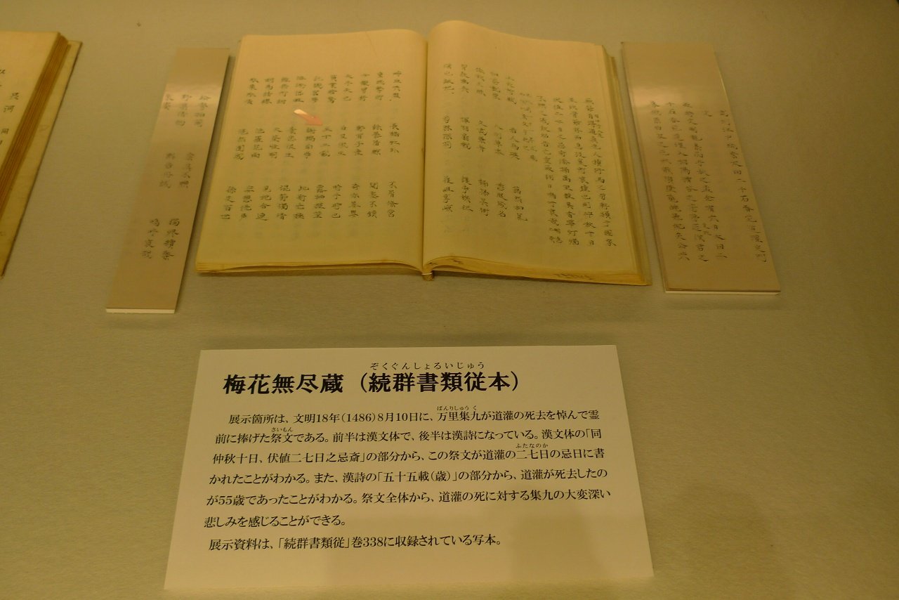 s-P1460900