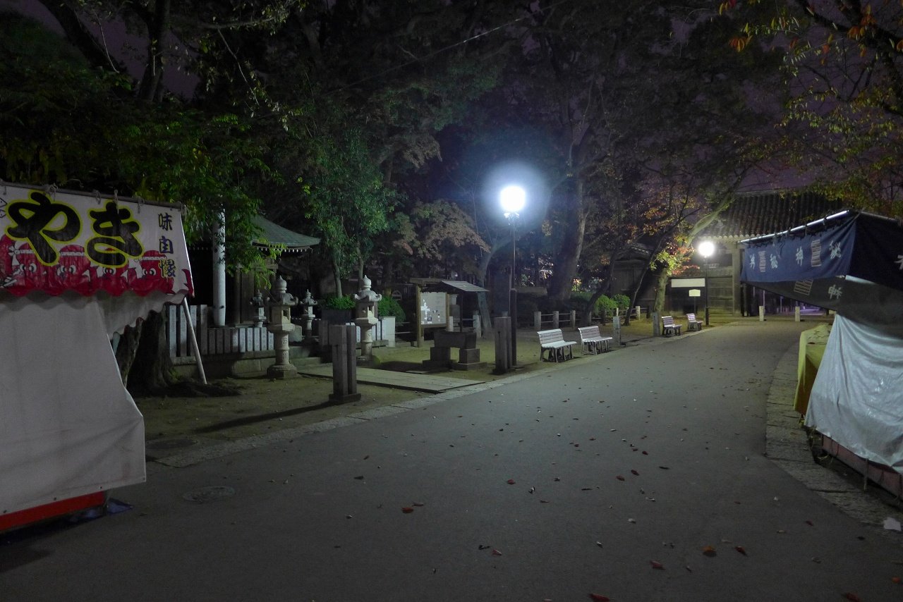 s-P1000219
