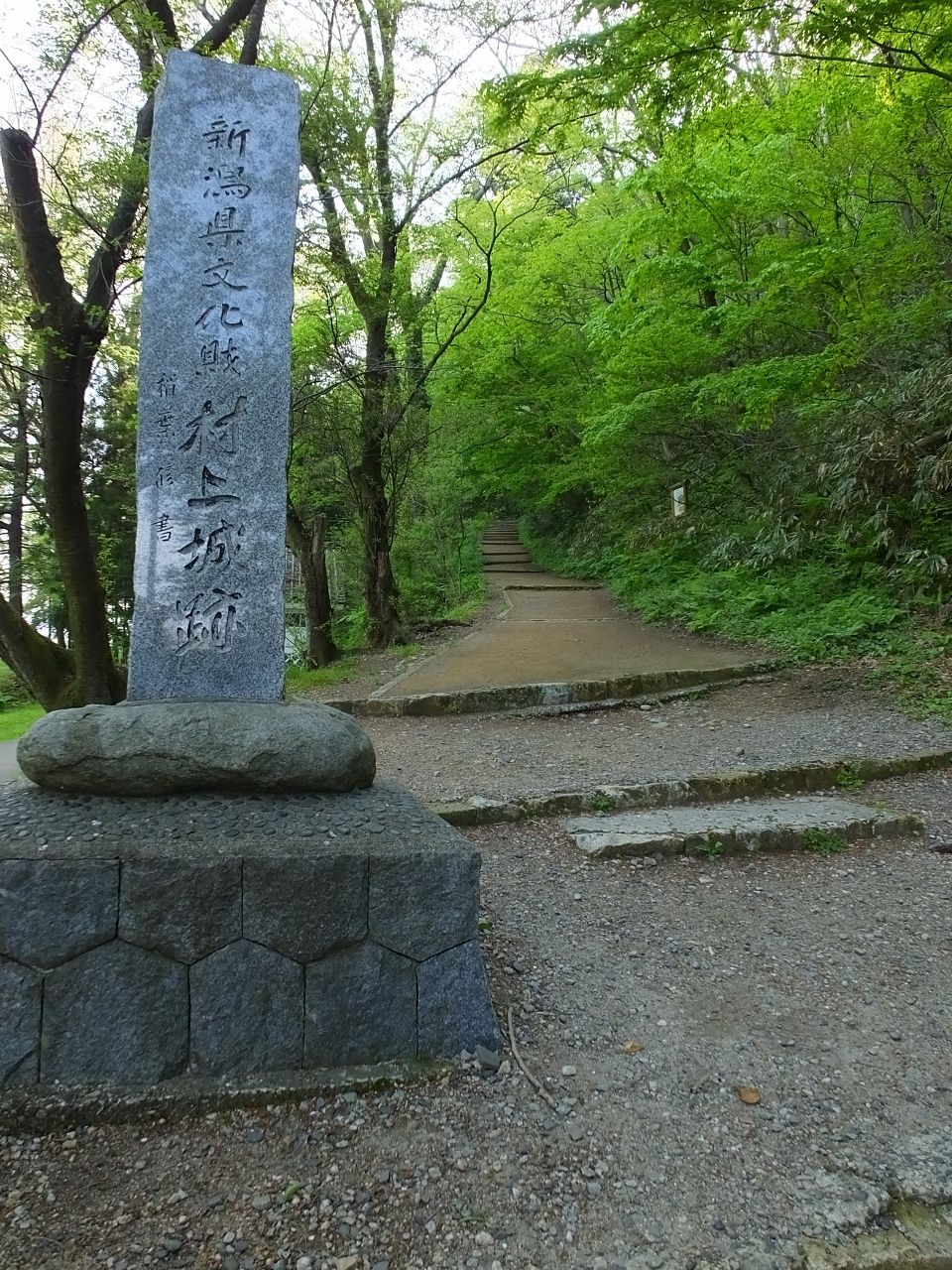 s-DSCF7215