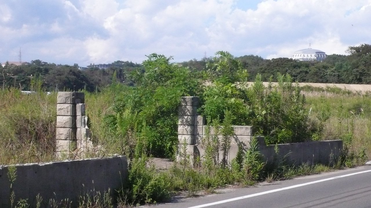 s-P1550623