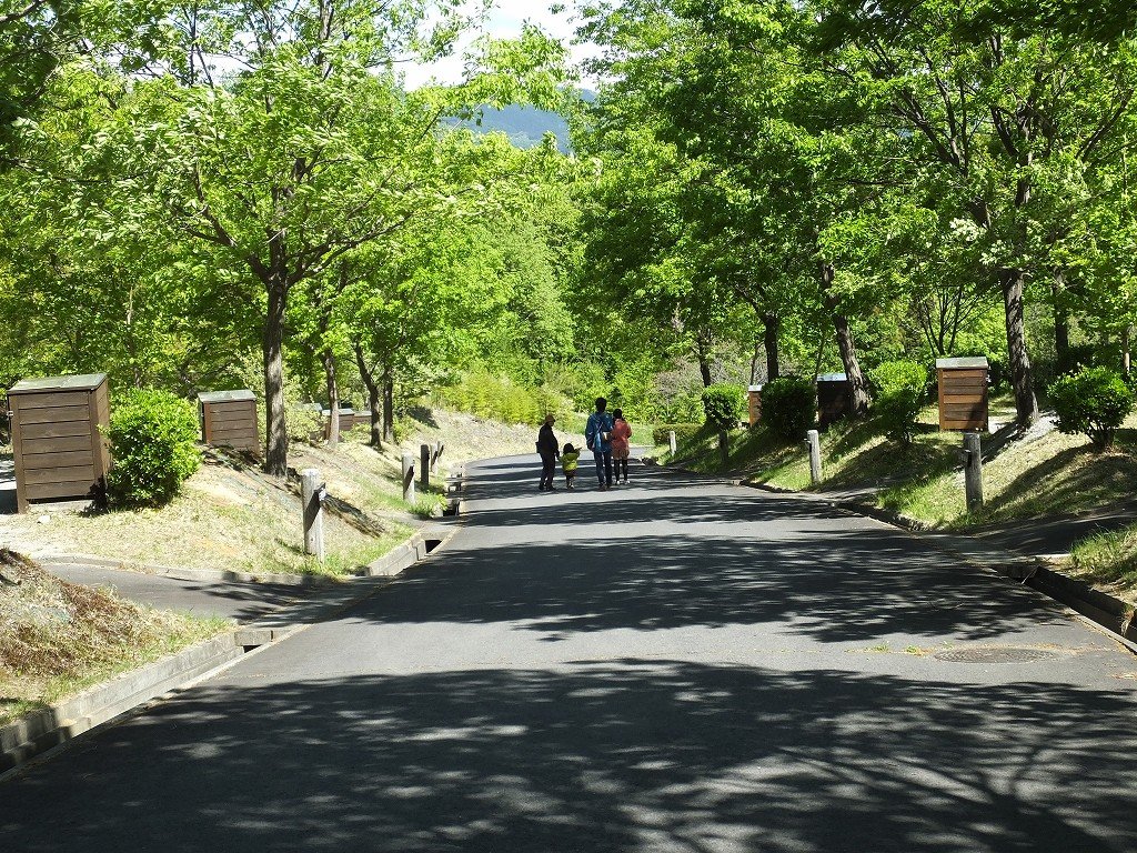 s-DSCF1607