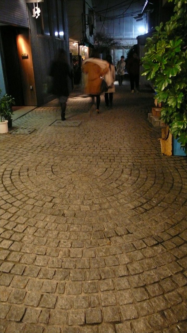 s-P1500257