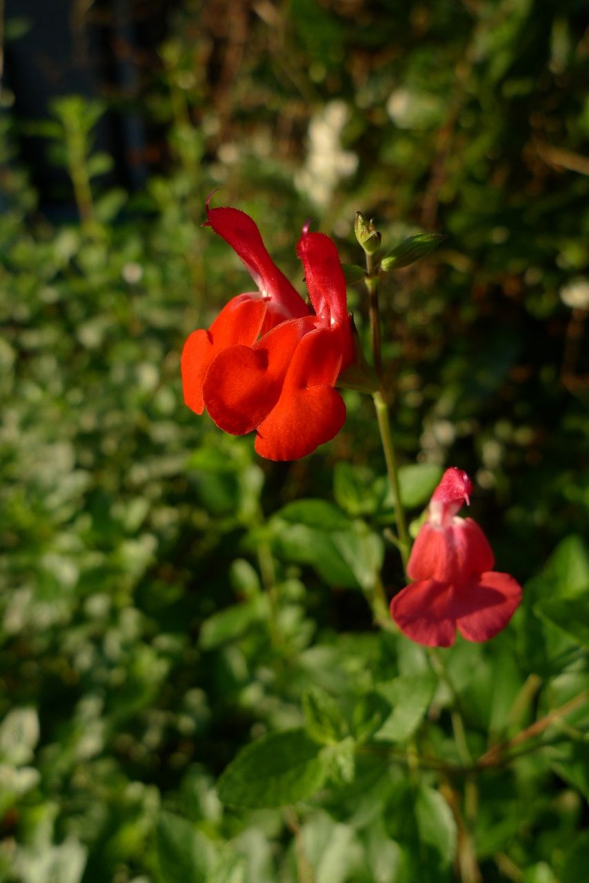 s-P1250818