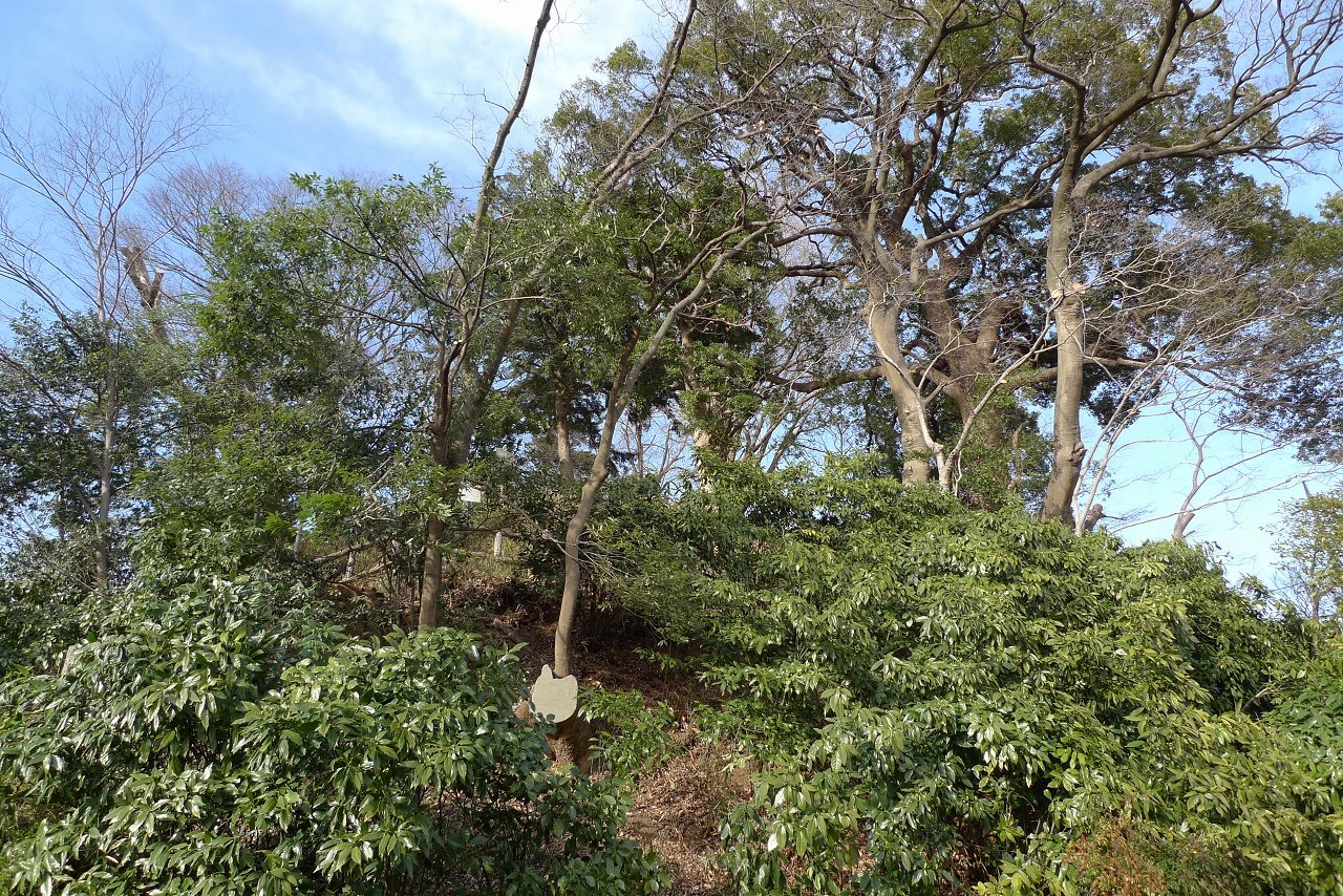s-P1330219