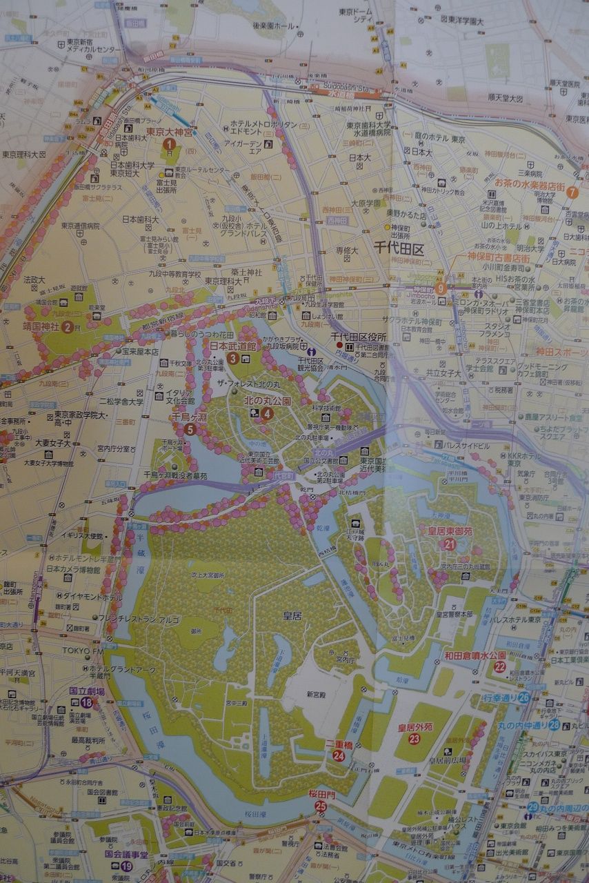 s-P1310024