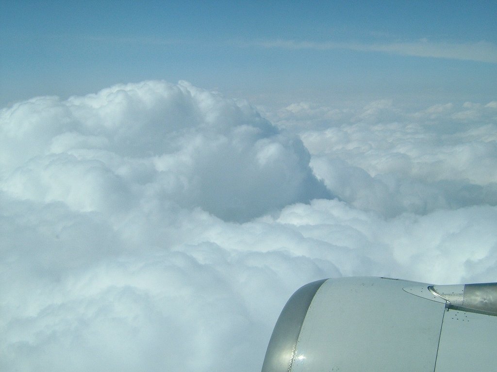 ¹õÀî²¹Àô¡Ê·§ËÜ¡¦°¤ÁÉ¡Ë2005ǯ3·î13Æü