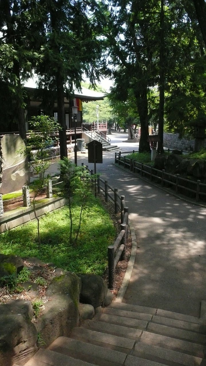 s-P1670711