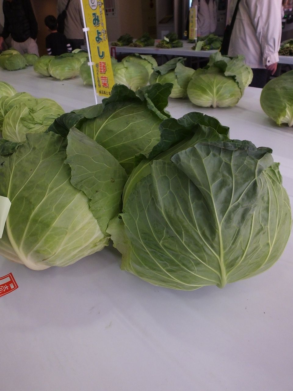 s-DSCF2706