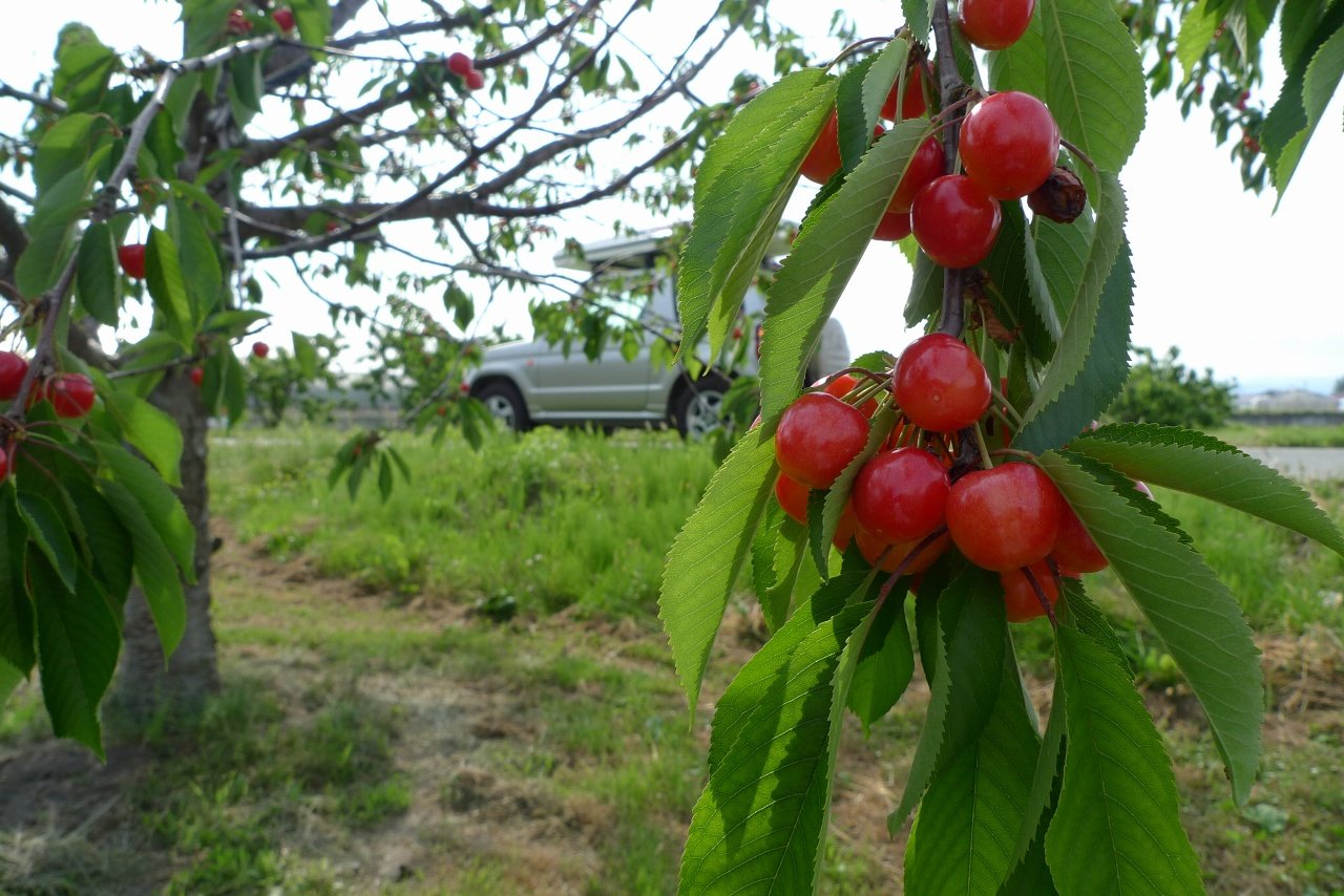 s-P1520462