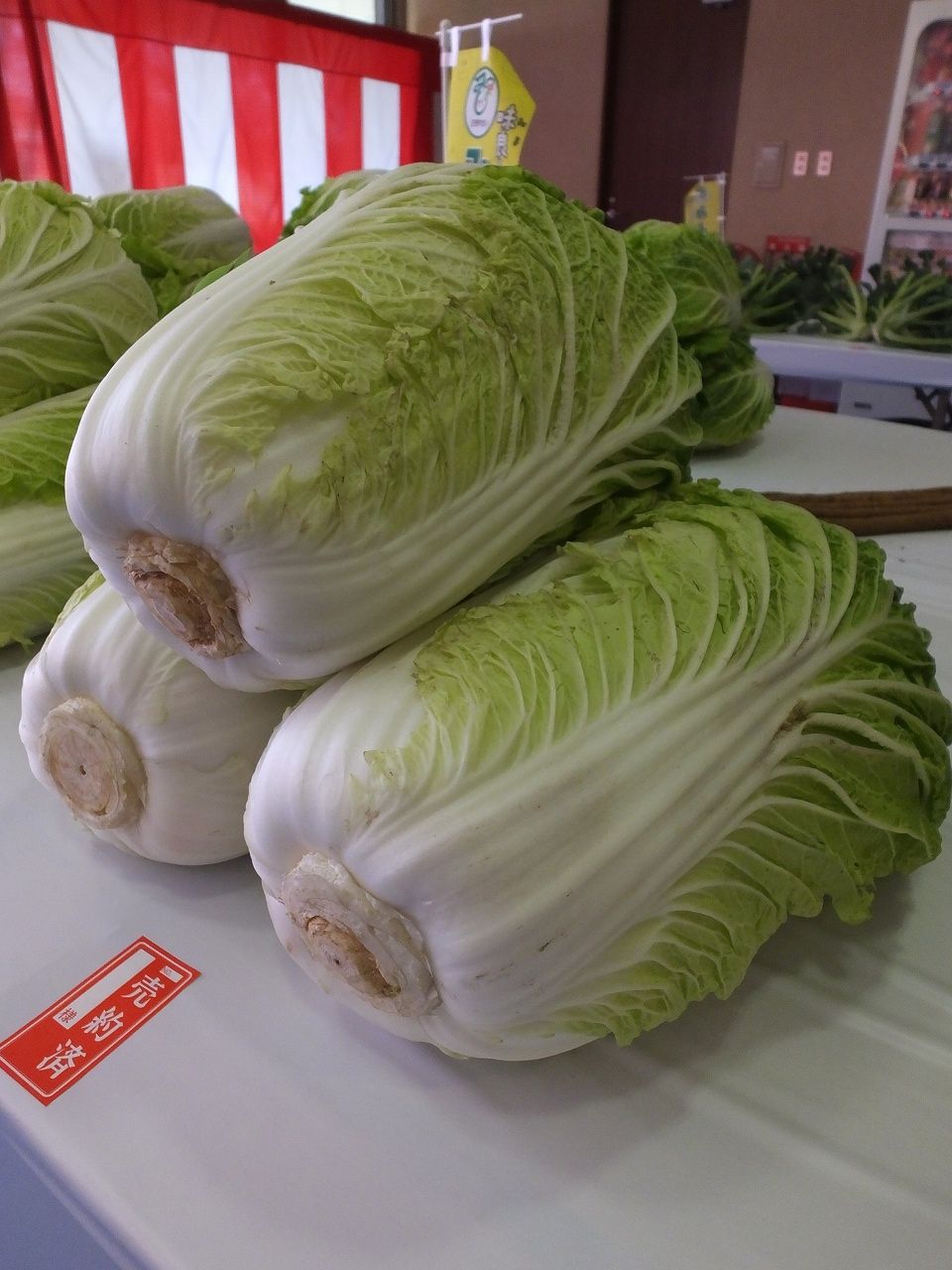 s-DSCF2705