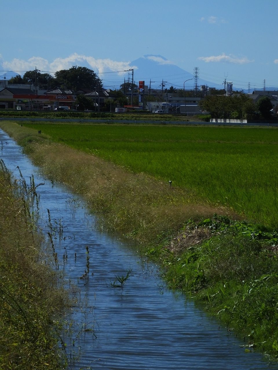 s-DSCF1308