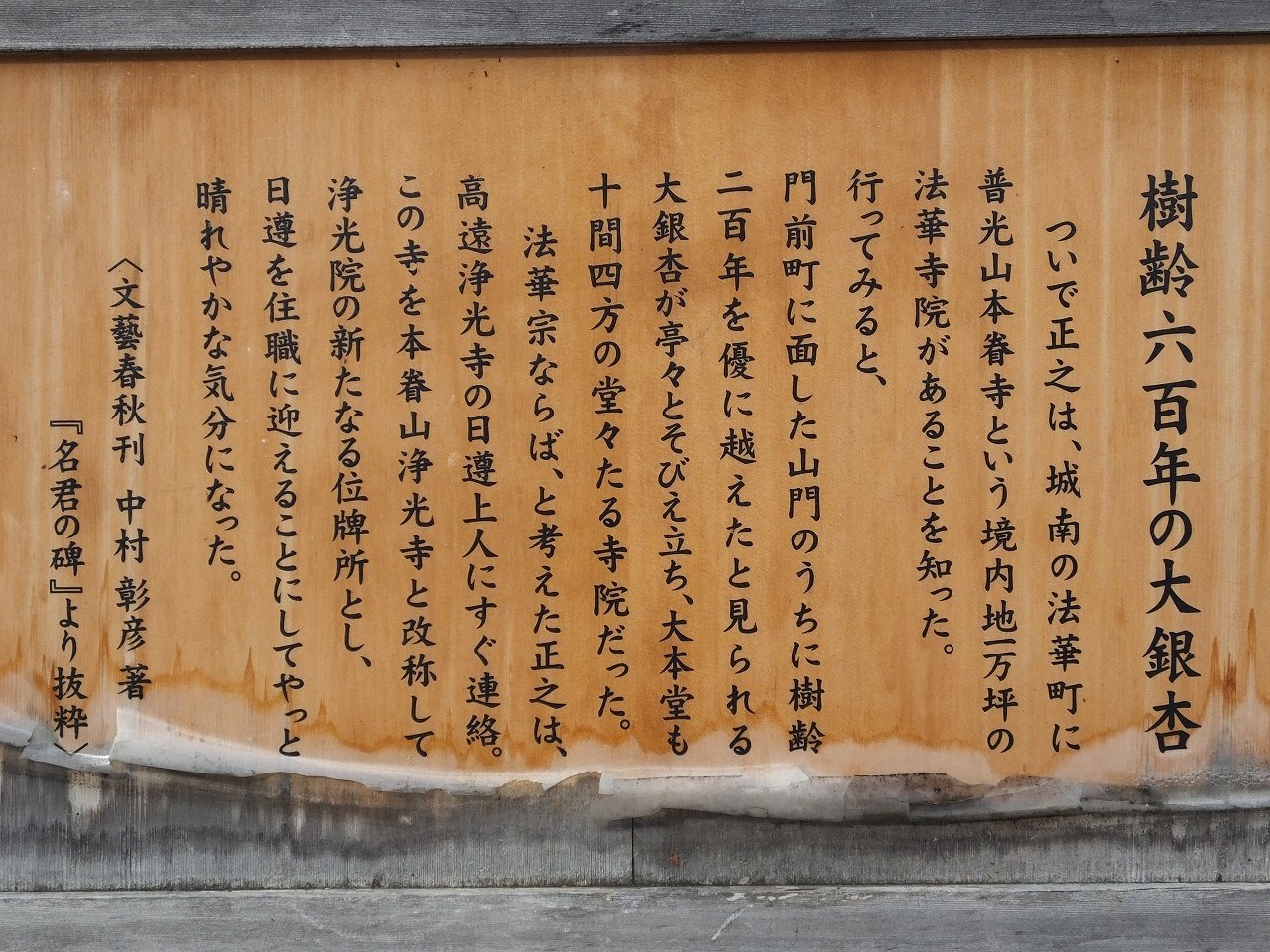 s-DSCF5608