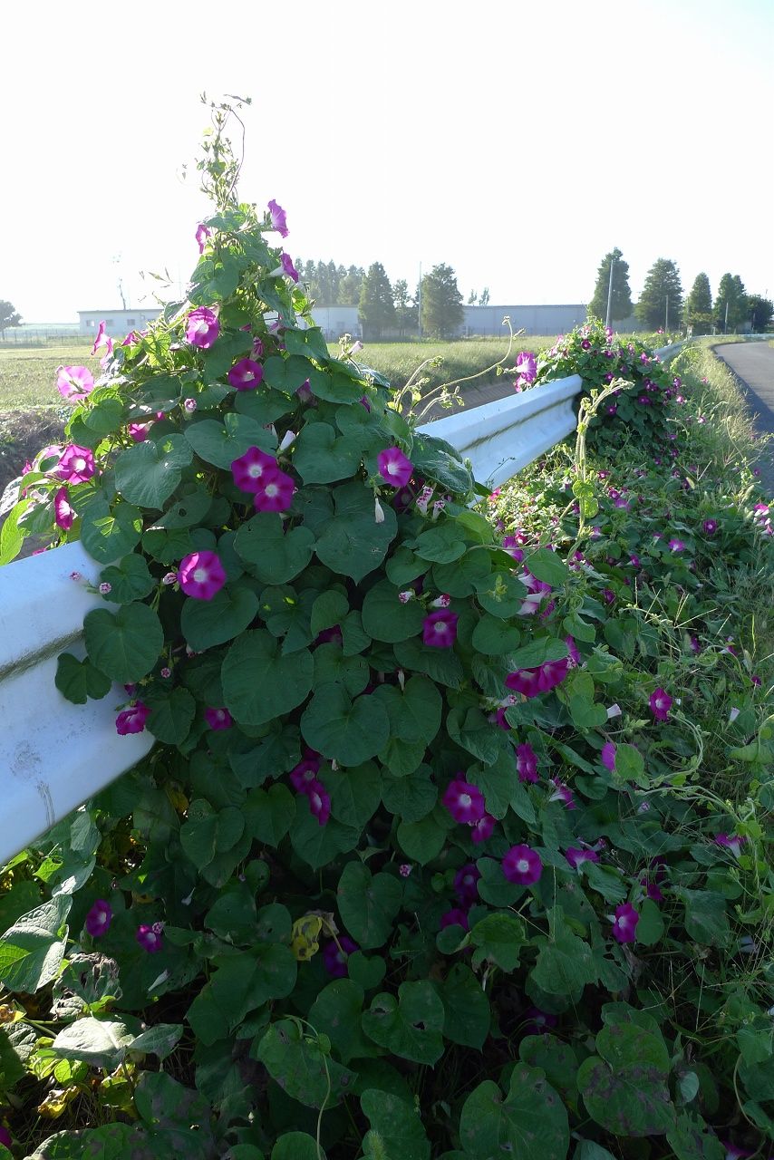 s-P1420501