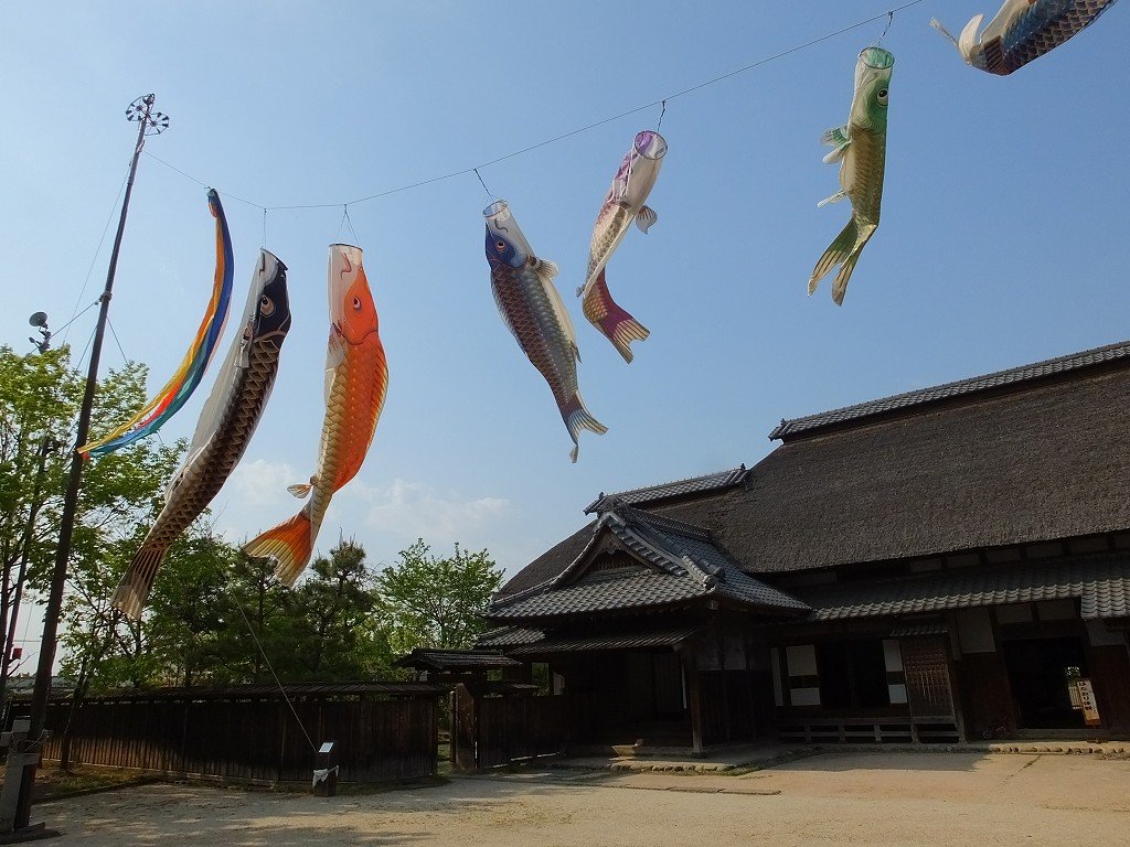 s-DSCF0232