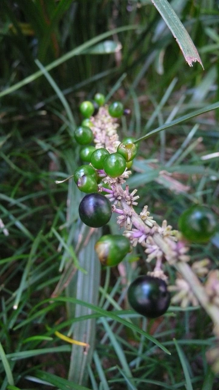 s-P1560910