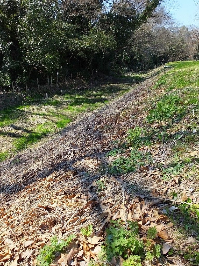 s-DSCF8689