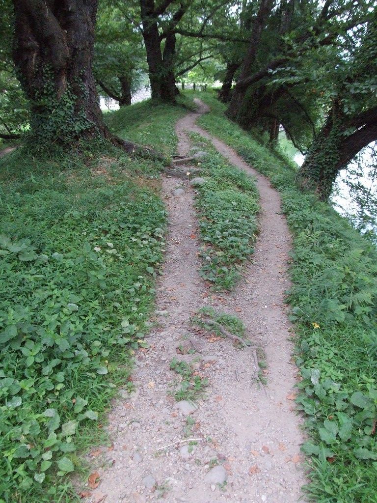 s-DSCF7220