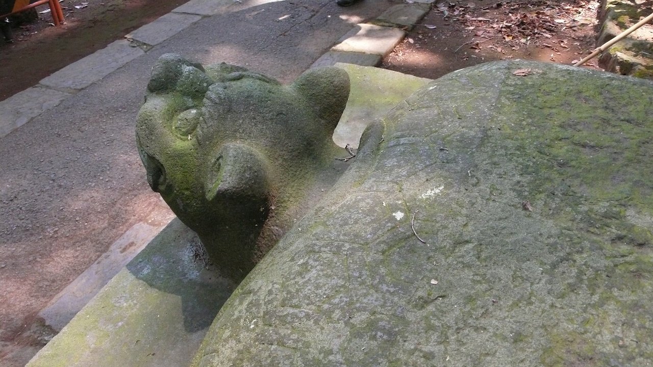 s-P1670691