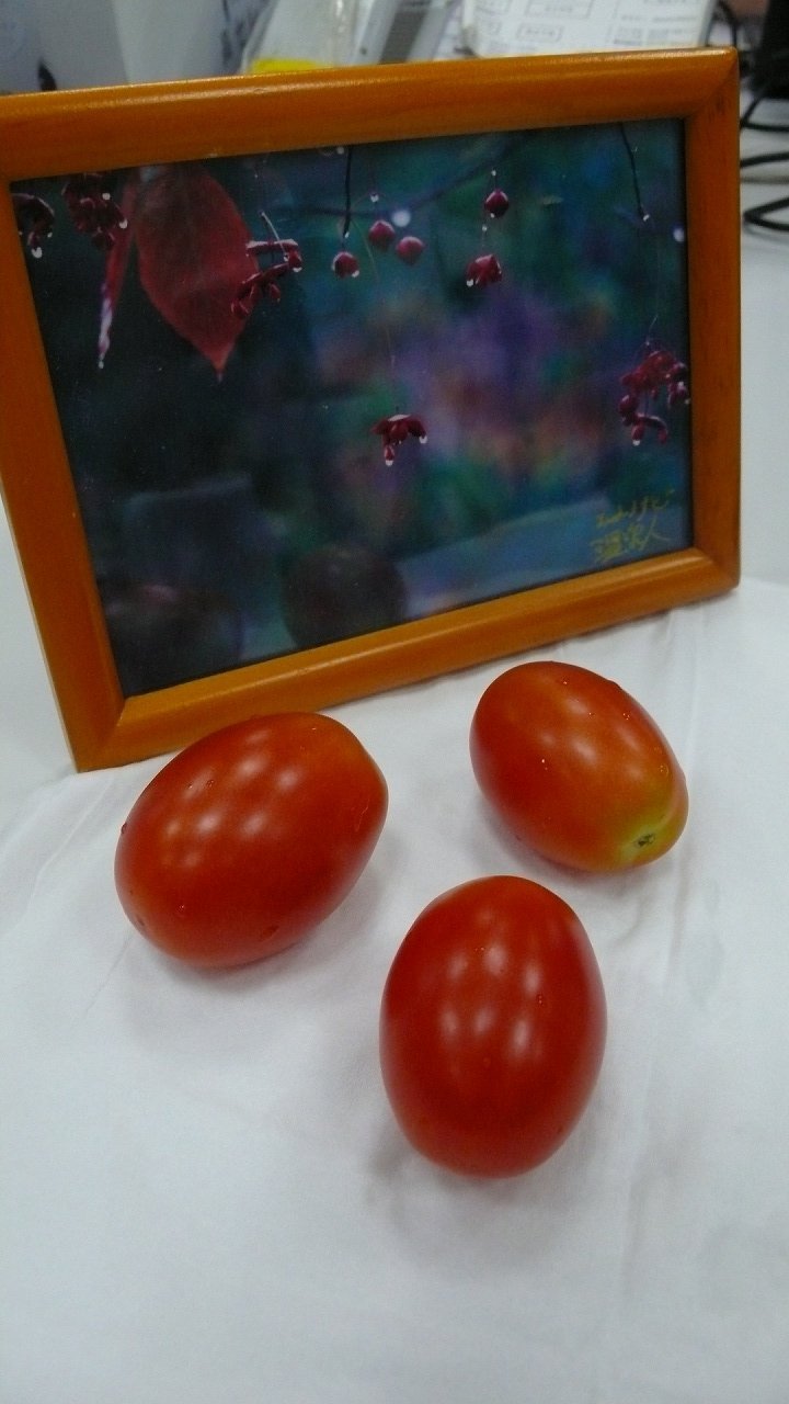 s-P1670770