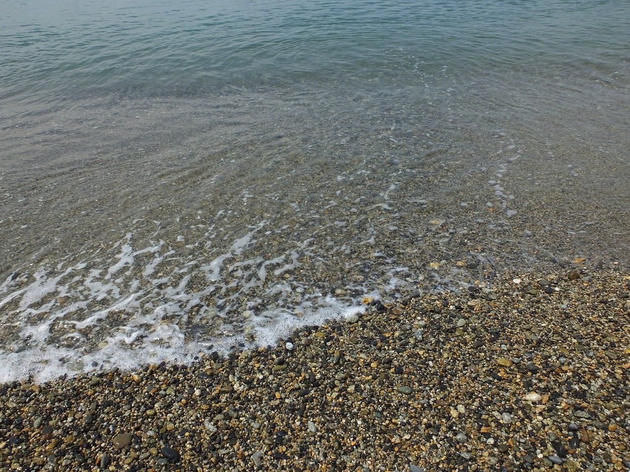 s-DSCF7361