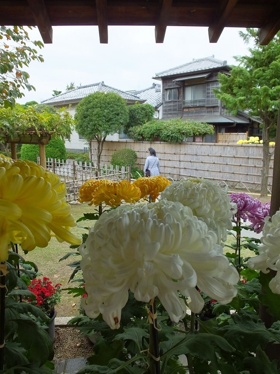 s-DSCF1485