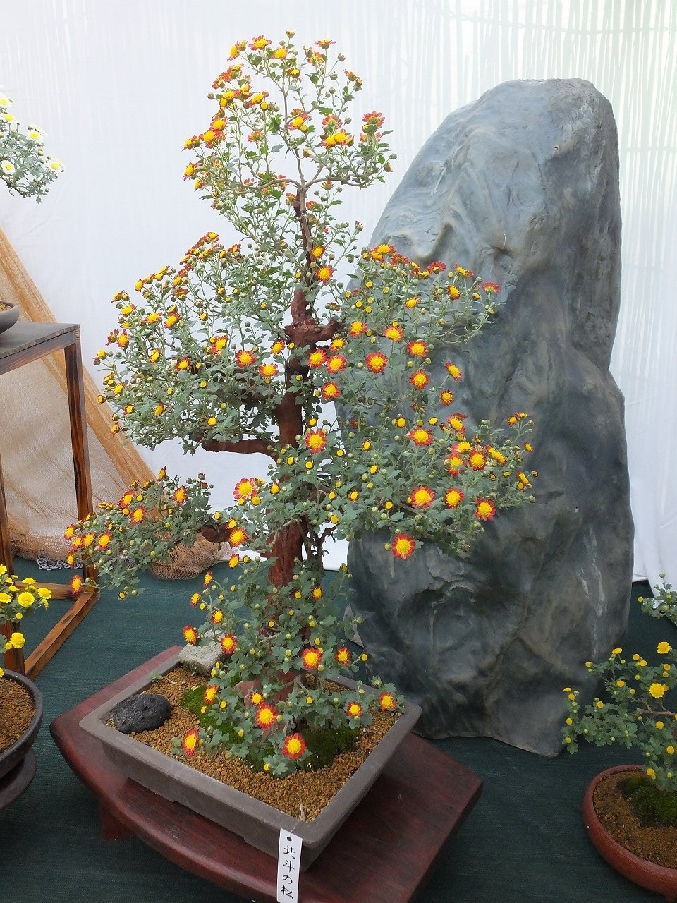 s-DSCF0856