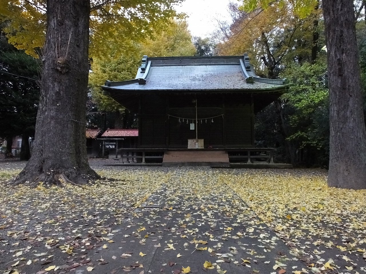 s-DSCF3466