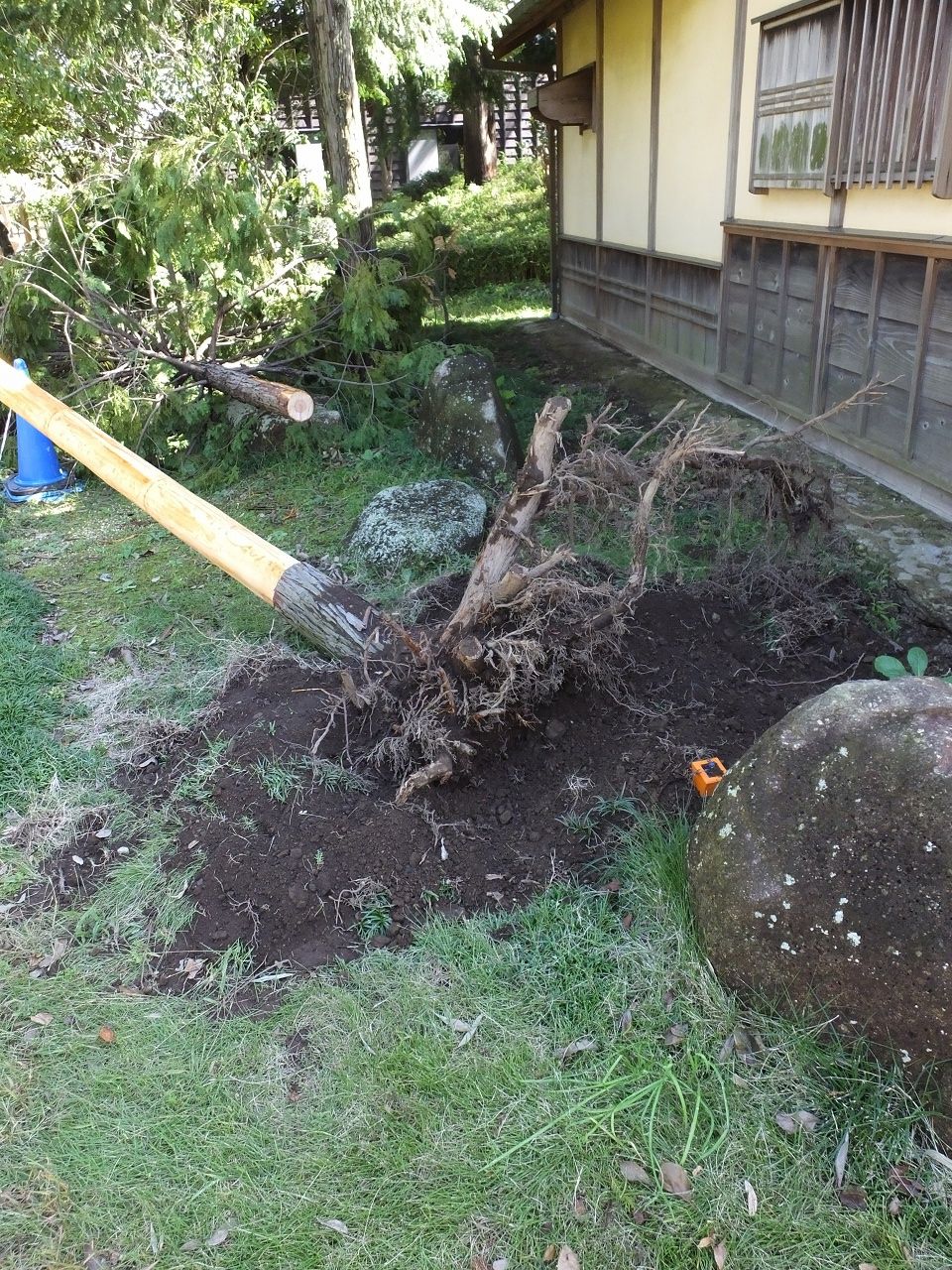 s-DSCF0287