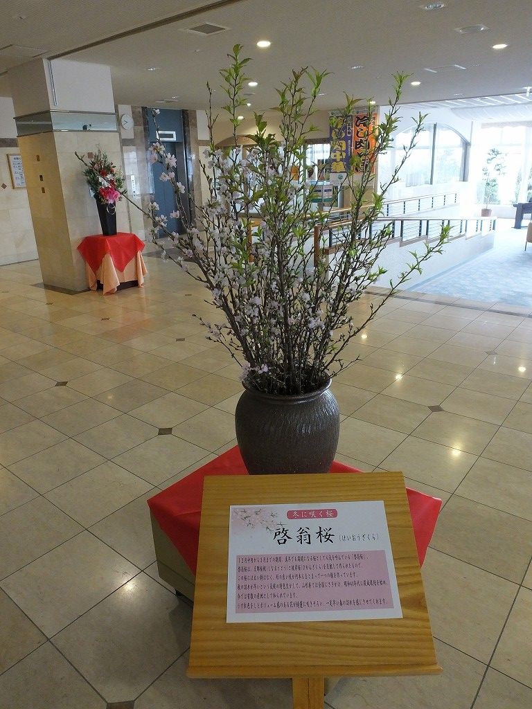 s-DSCF5692