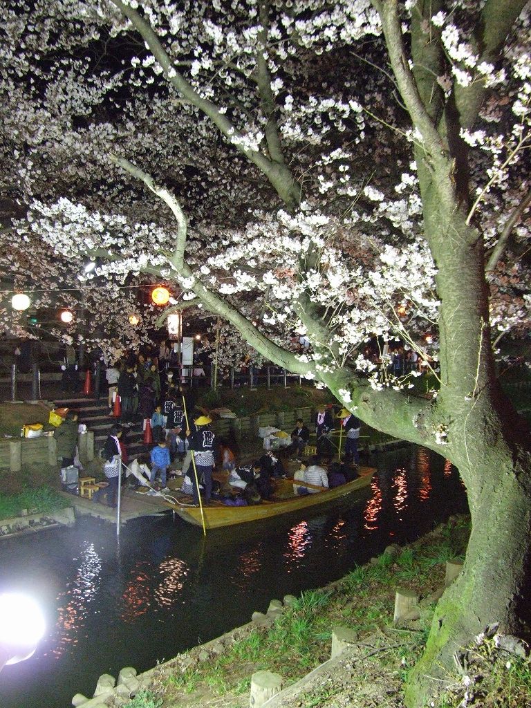 Àî±Û¡¦½Õ¤Î¿·²Ï´ßÀî¤Î½®Í·¤Ó¡Ê2012¡Ë