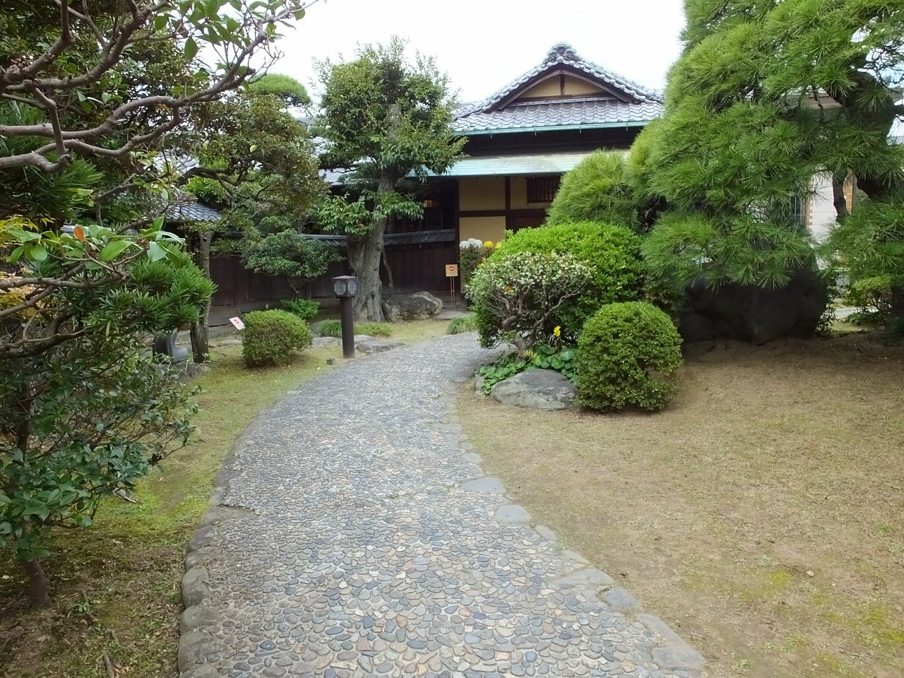 s-DSCF1480