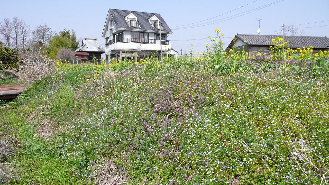 s-P1610503