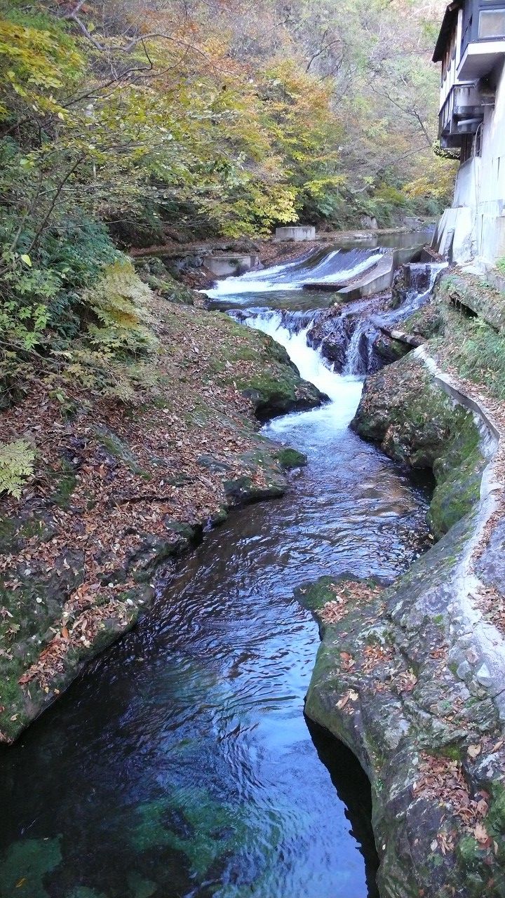 s-P1470213