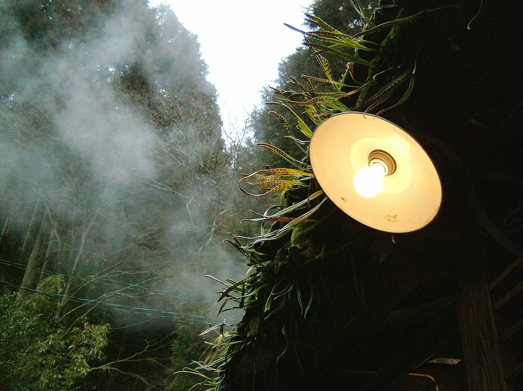 ¹õÀî²¹Àô¡Ê·§ËÜ¡¦°¤ÁÉ¡Ë2005ǯ3·î13Æü