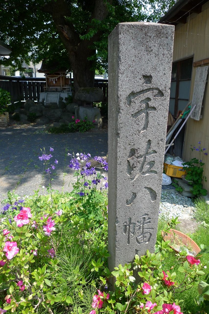 s-P1350925