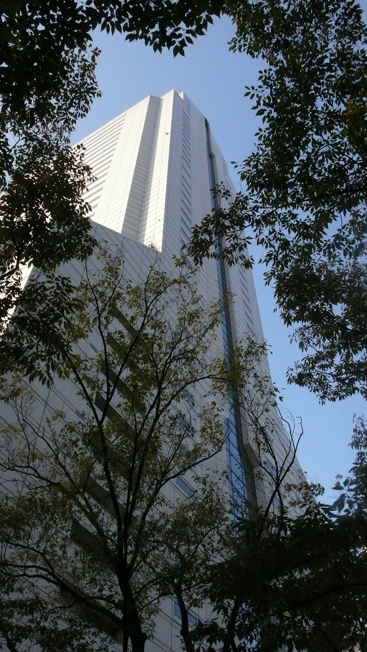 s-P1460392