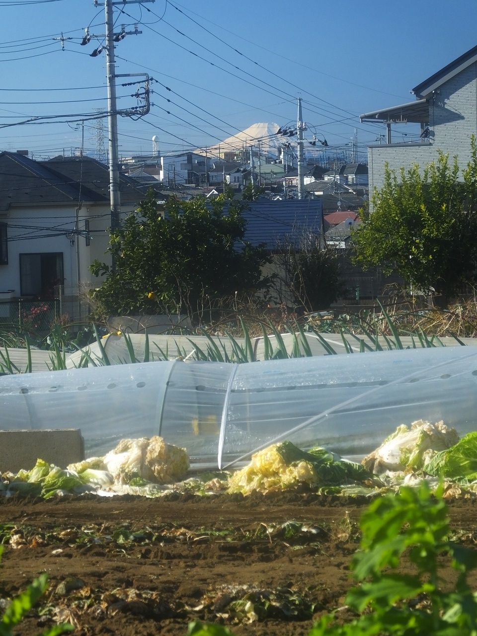 s-DSCF1872