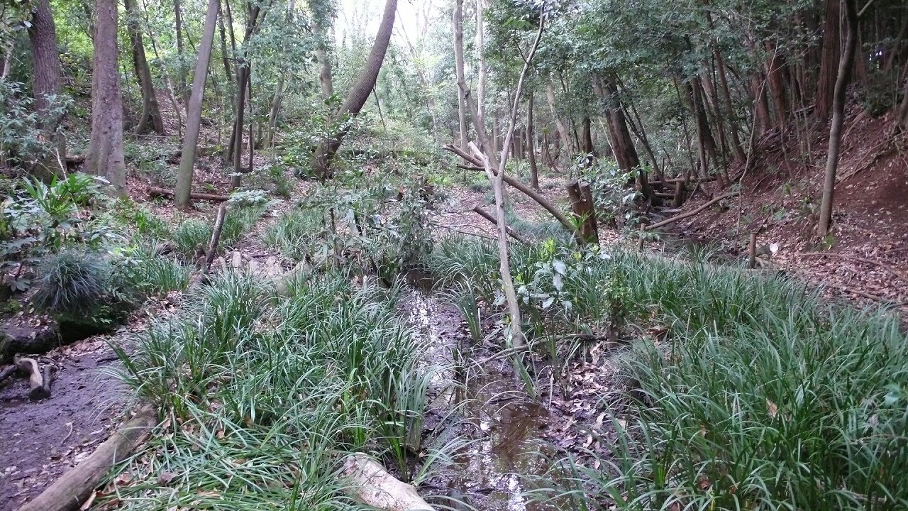 s-P1620813